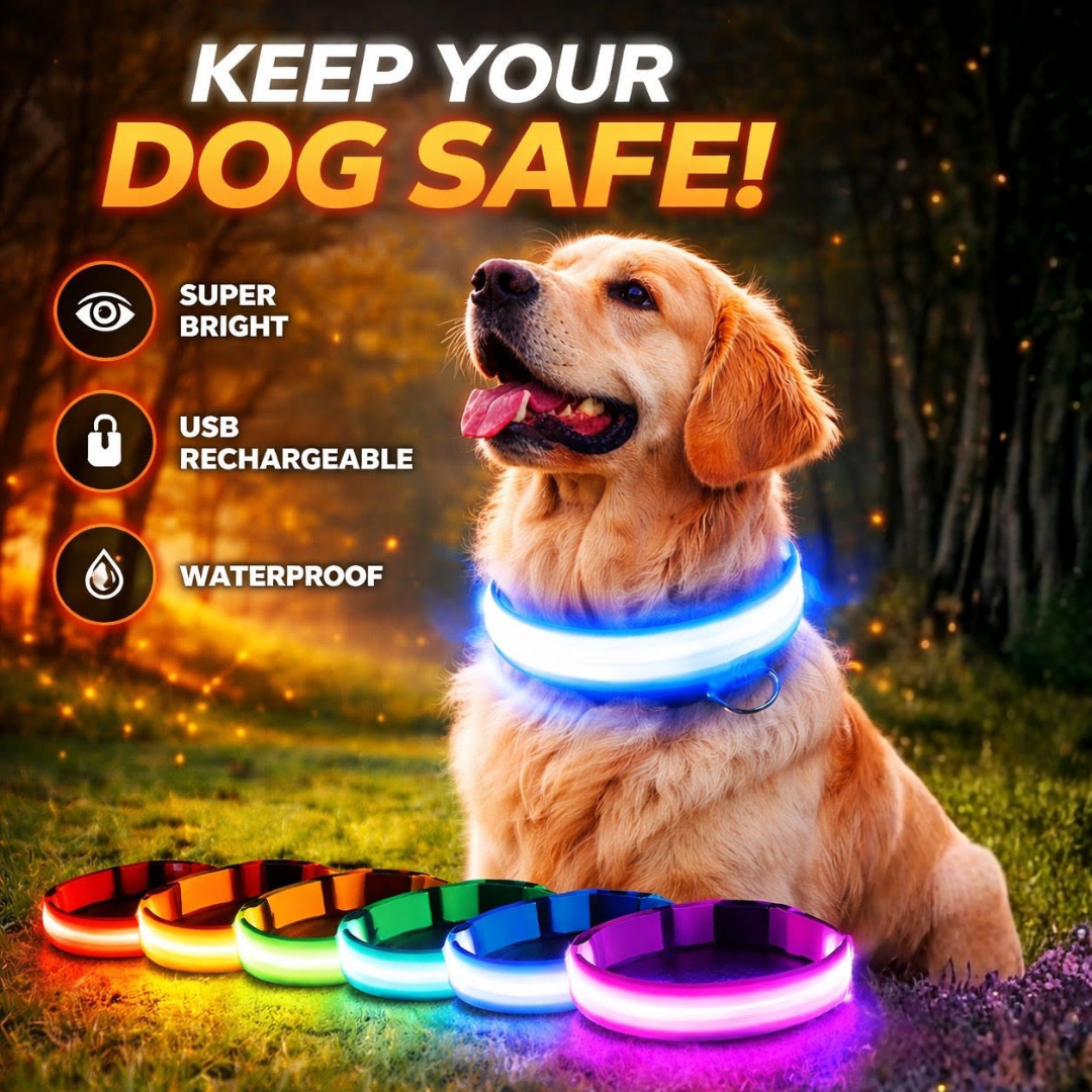 USB Rechargeable LED Light-Up Dog Collar