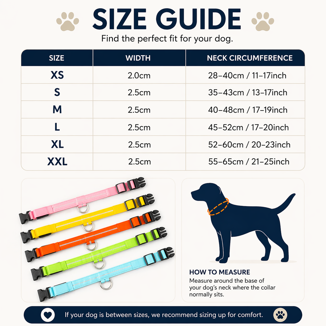 USB Rechargeable LED Light-Up Dog Collar