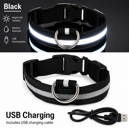 USB Rechargeable LED Light-Up Dog Collar
