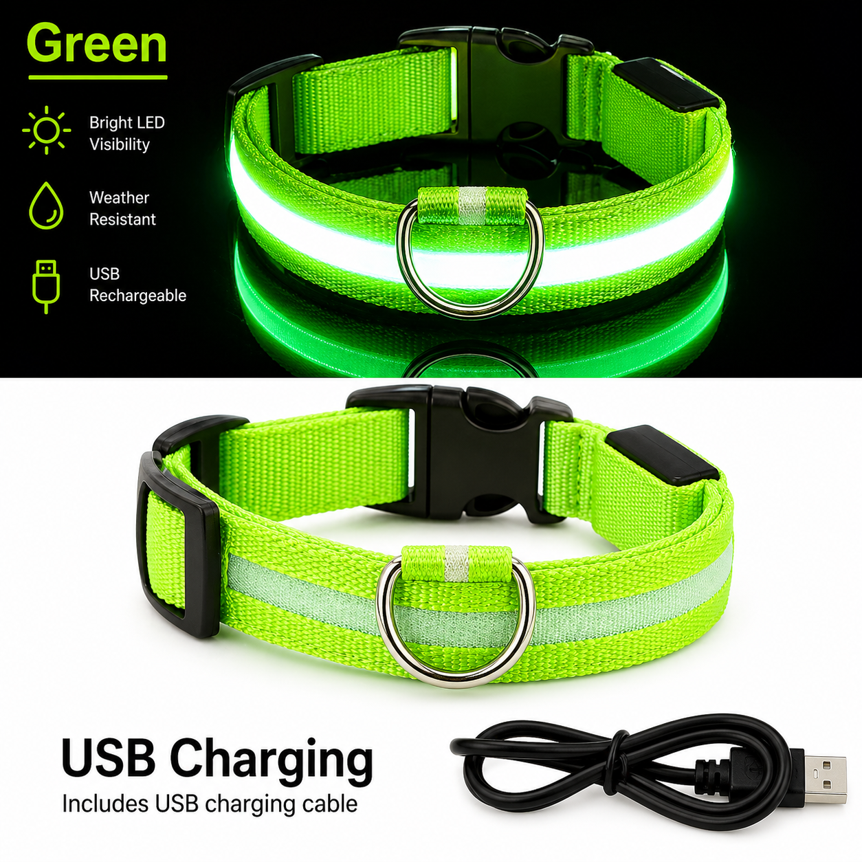 USB Rechargeable LED Light-Up Dog Collar