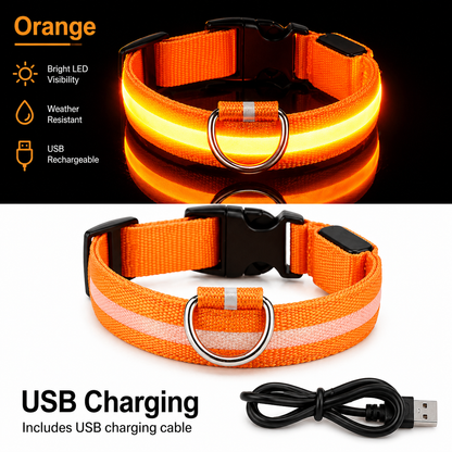 USB Rechargeable LED Light-Up Dog Collar