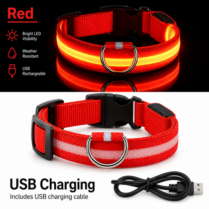 USB Rechargeable LED Light-Up Dog Collar