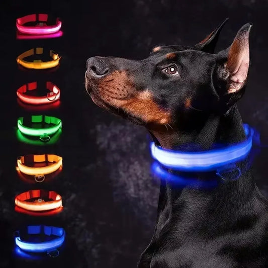 USB Rechargeable LED Light-Up Dog Collar