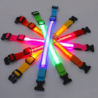 USB Rechargeable LED Light-Up Dog Collar