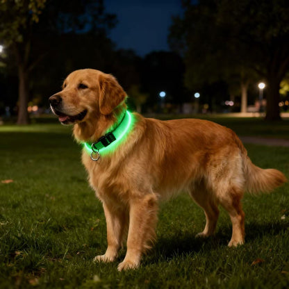 USB Rechargeable LED Light-Up Dog Collar